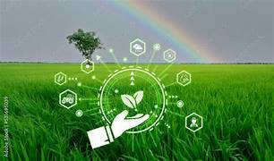 Digital Solutions for Rural Millers