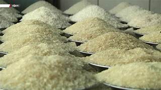 Record High RICE production 2025